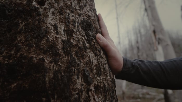 2026.05 - Henry-Creek-Film_Stills-011