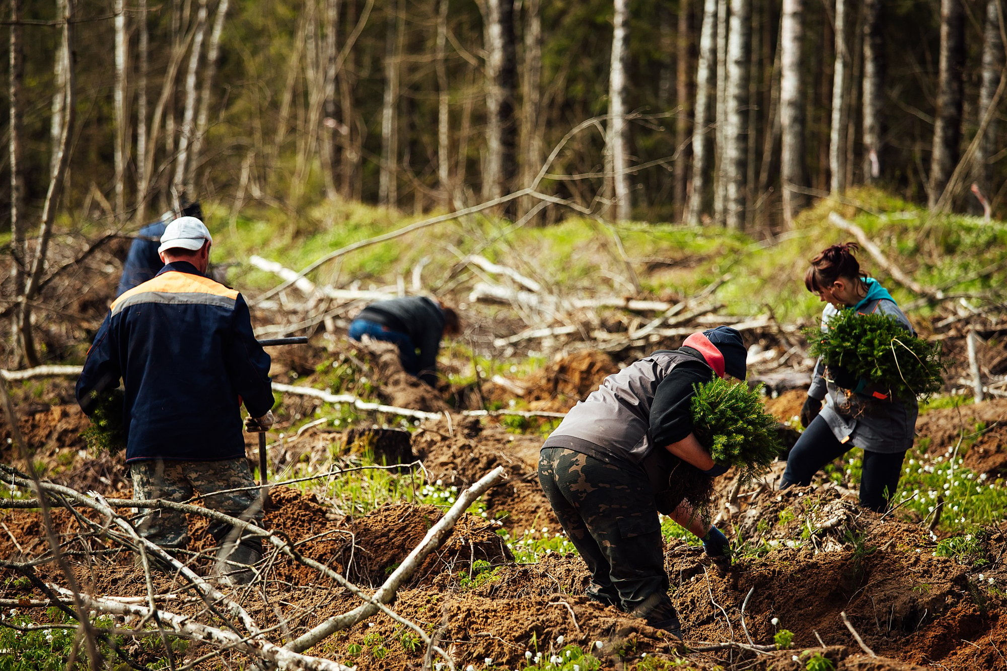 Tree planters.