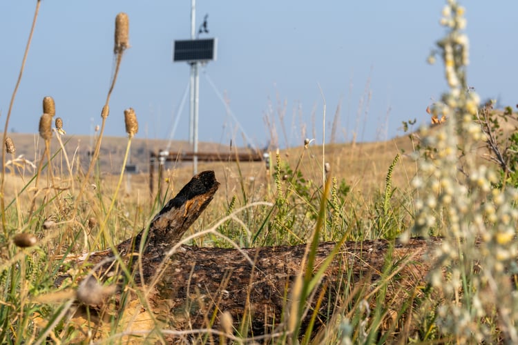 Mast Reforestation’s MRV monitoring equipment at the Montana MT1 Wood Preserve, with a solar-powered sensor tower visible in the background and a fire-killed log in the foreground among native grasses.