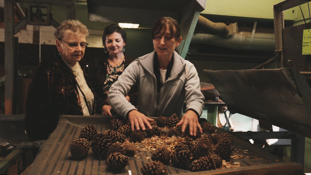 Gentry Silvaseed Tour - All Clips_01_09_08_08