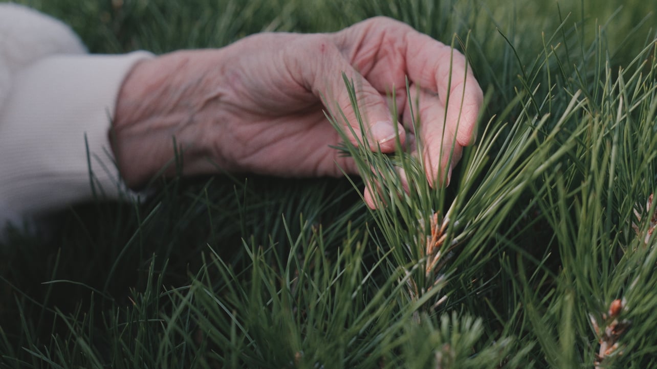 Gentry Silvaseed Tour - All Clips_03_22_52_13