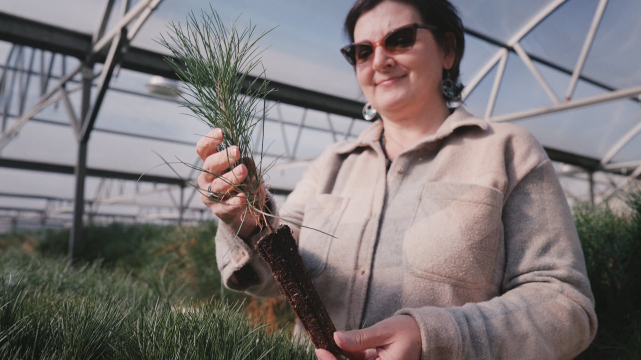 Gentry Silvaseed Tour - All Clips_03_56_21_16