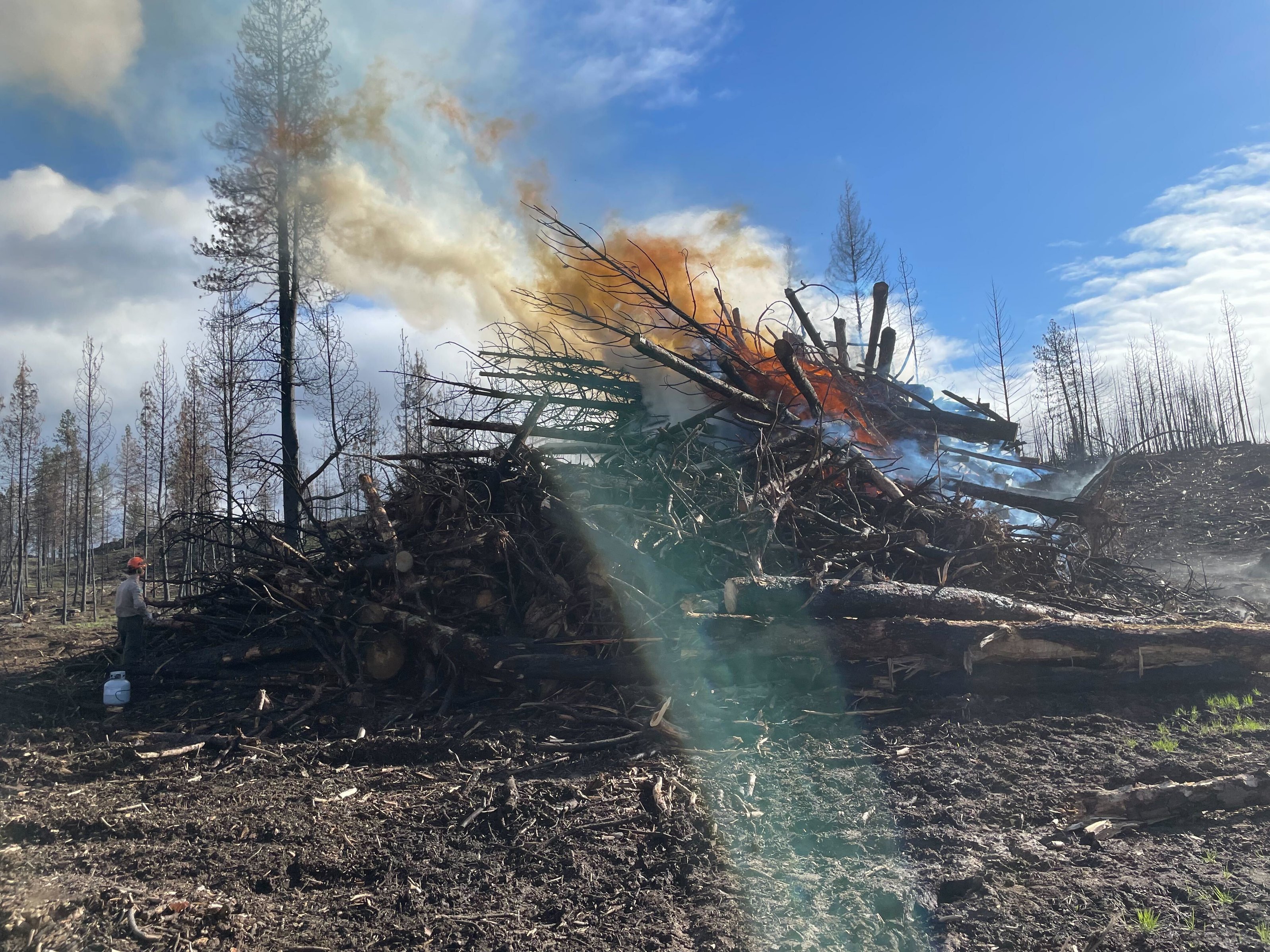Burned Biomass Burial: A New Frontier in Carbon Removal and Wildfire ...
