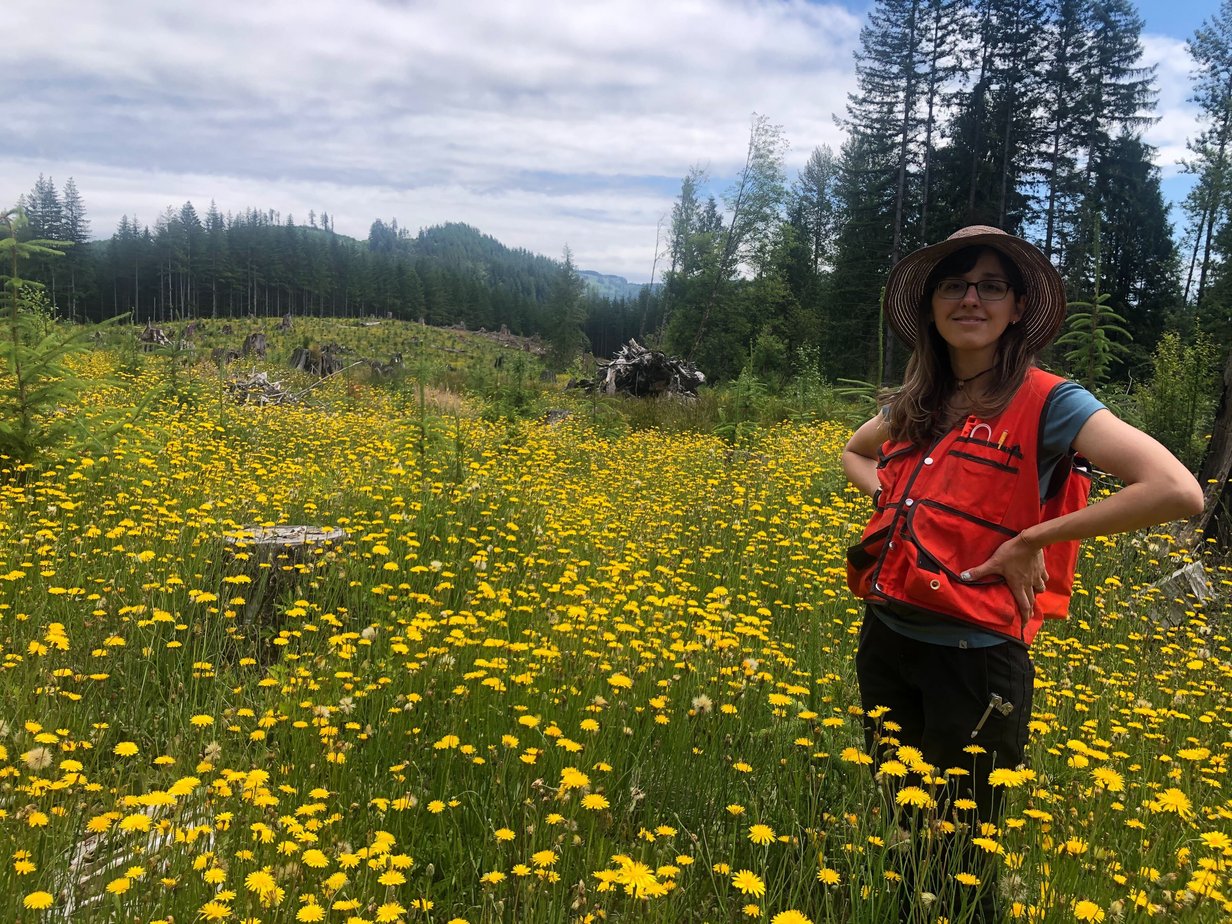 Tiffani Pilchuck Daisies_Michelle