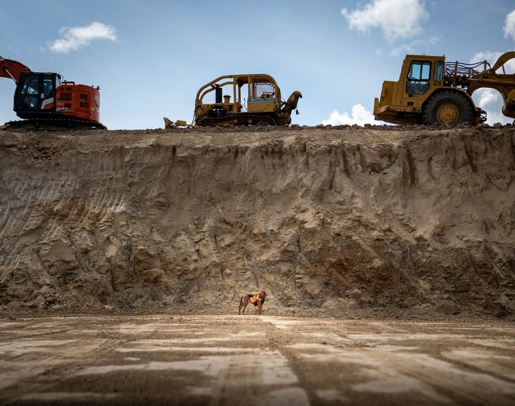 Max the dog, Director of Site and Smells at Mast's MT1 project stands in completed excavation chamber