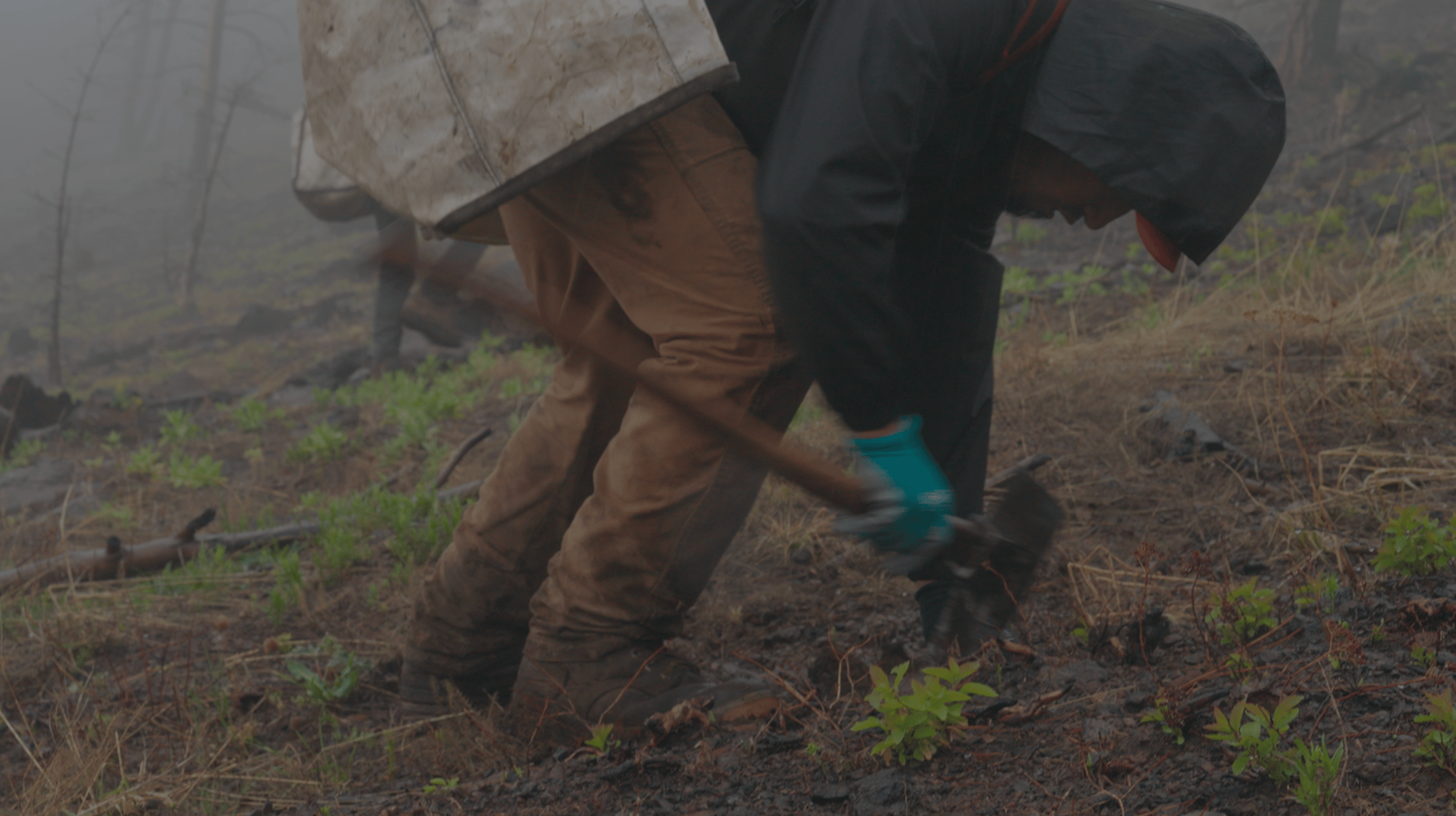 sheep-creek-film-stills-025 2