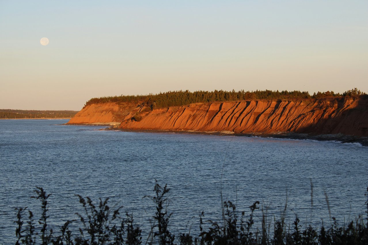 sue-conrad-zIj-52rwKF8-unsplash