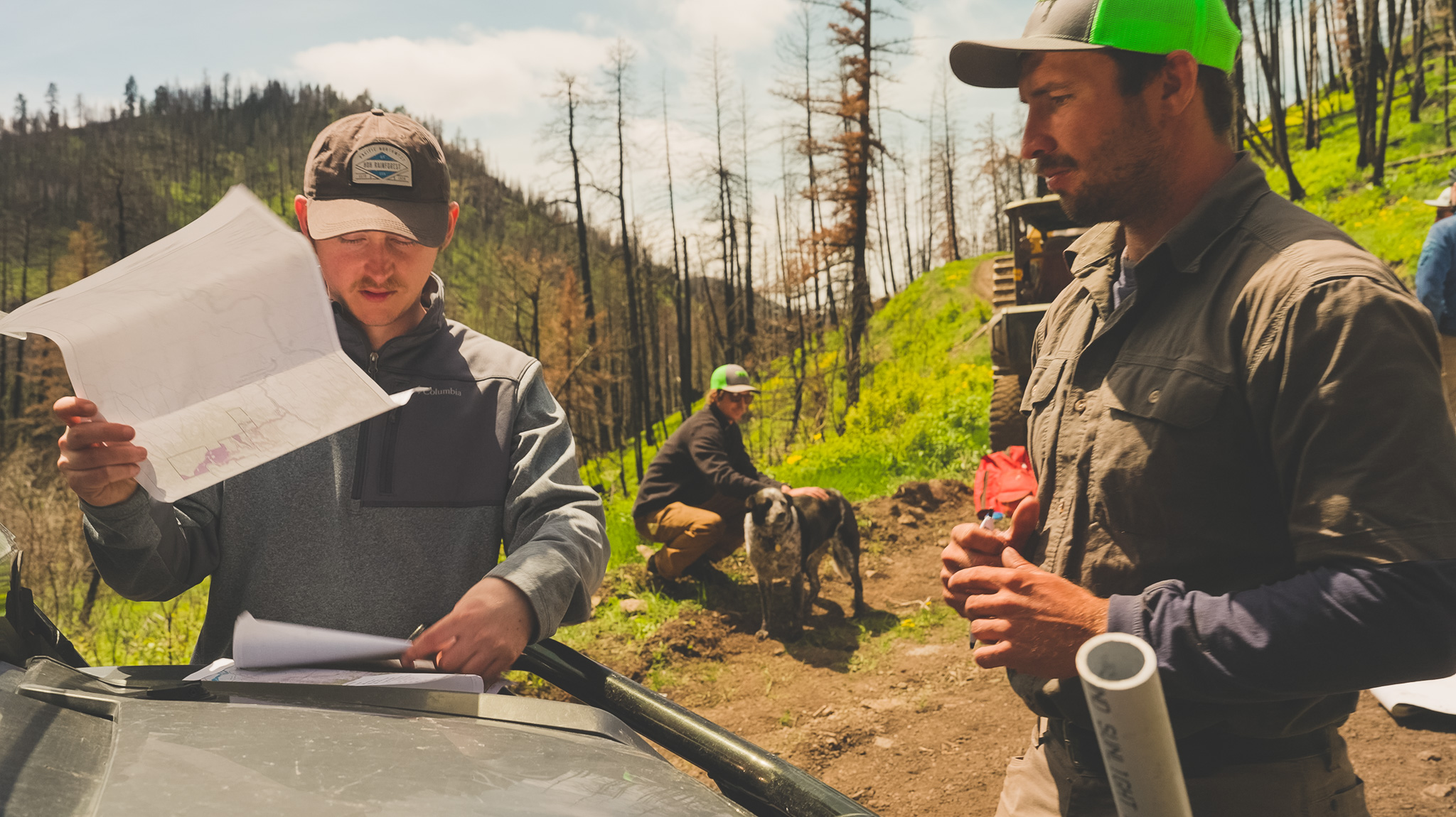 Sheep Creek Reforestation Project